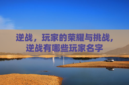 逆战，玩家的荣耀与挑战,逆战有哪些玩家名字