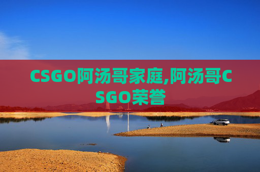 CSGO阿汤哥家庭,阿汤哥CSGO荣誉
