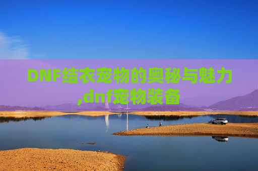 DNF结衣宠物的奥秘与魅力,dnf宠物装备
