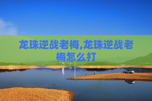 龙珠逆战老梅,龙珠逆战老梅怎么打