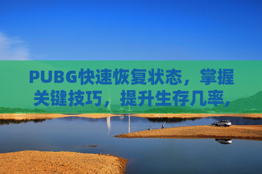 PUBG快速恢复状态，掌握关键技巧，提升生存几率,PUBG恢复物品教程