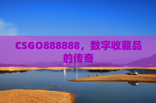 CSGO888888，数字收藏品的传奇