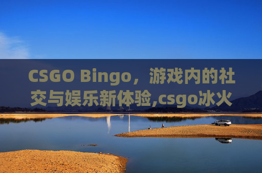 CSGO Bingo，游戏内的社交与娱乐新体验,csgo冰火模板查询