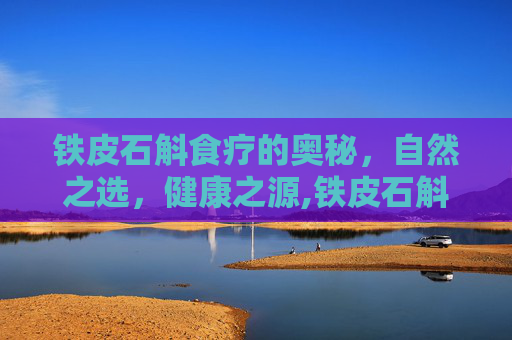 铁皮石斛食疗的奥秘，自然之选，健康之源,铁皮石斛食疗方法