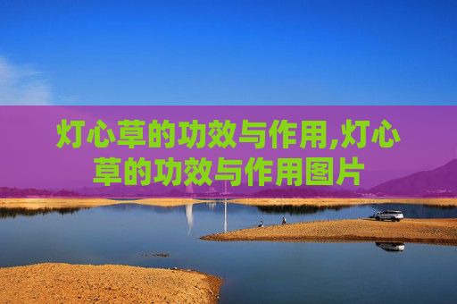 灯心草的功效与作用,灯心草的功效与作用图片