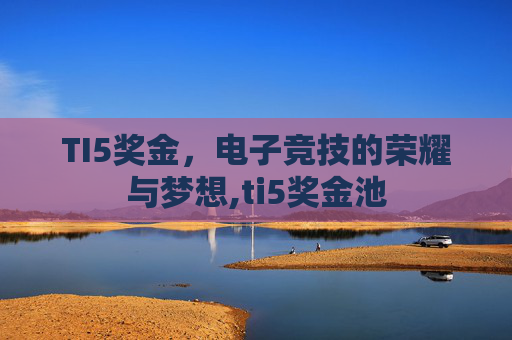 TI5奖金，电子竞技的荣耀与梦想,ti5奖金池