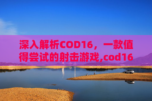 深入解析COD16，一款值得尝试的射击游戏,cod16是什么游戏
