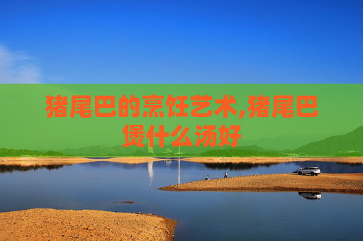 猪尾巴的烹饪艺术,猪尾巴煲什么汤好