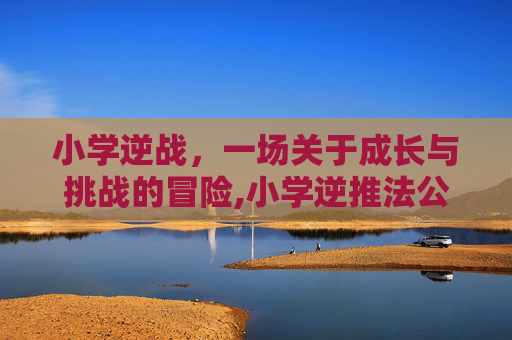 小学逆战，一场关于成长与挑战的冒险,小学逆推法公式
