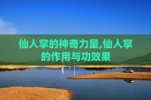 仙人掌的神奇力量,仙人掌的作用与功效果