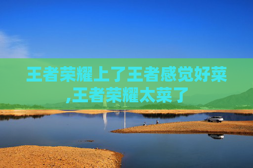 王者荣耀上了王者感觉好菜,王者荣耀太菜了