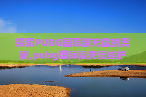 探索PUBG国际版充值的奥秘,pubg国际版充值维护
