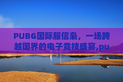 PUBG国际服信枭，一场跨越国界的电子竞技盛宴,pubg国际服信誉分提升