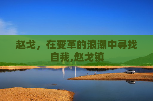 赵戈，在变革的浪潮中寻找自我,赵戈镇