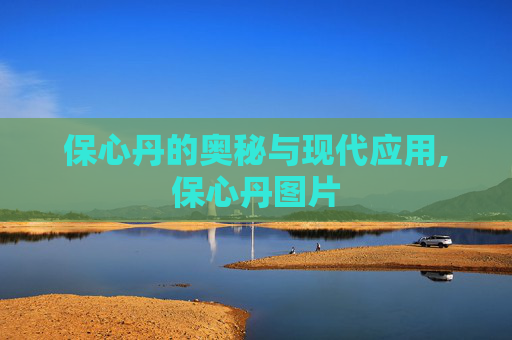 保心丹的奥秘与现代应用,保心丹图片