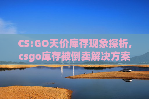 CS:GO天价库存现象探析,csgo库存被倒卖解决方案