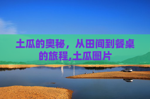 土瓜的奥秘，从田间到餐桌的旅程,土瓜图片