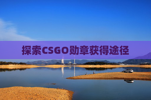 探索CSGO勋章获得途径