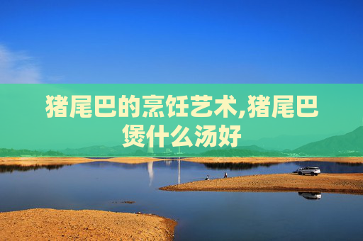 猪尾巴的烹饪艺术,猪尾巴煲什么汤好