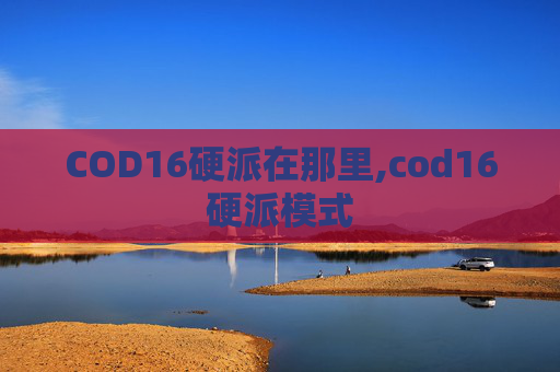 COD16硬派在那里,cod16硬派模式