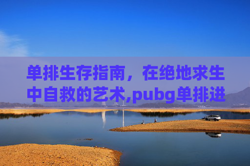 单排生存指南，在绝地求生中自救的艺术,pubg单排进不去四排能进是什么意思