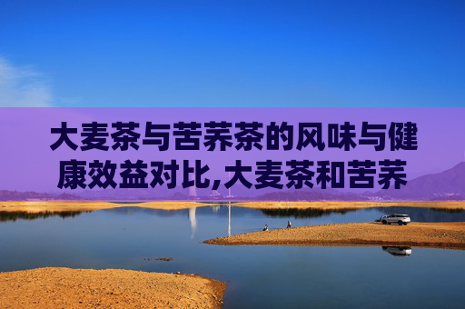 大麦茶与苦荞茶的风味与健康效益对比,大麦茶和苦荞茶的区别功效与作用