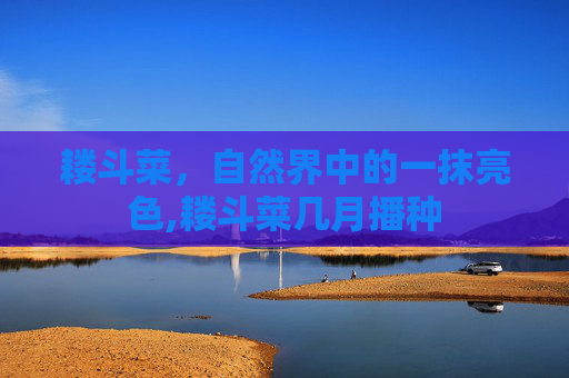 耧斗菜，自然界中的一抹亮色,耧斗菜几月播种