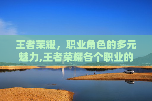 王者荣耀，职业角色的多元魅力,王者荣耀各个职业的区别
