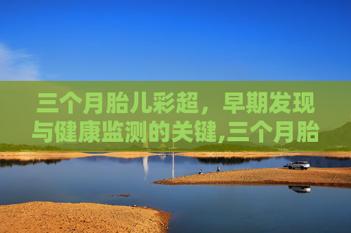 三个月胎儿彩超，早期发现与健康监测的关键,三个月胎儿彩超图