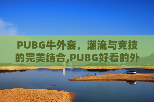 PUBG牛外套，潮流与竞技的完美结合,PUBG好看的外套