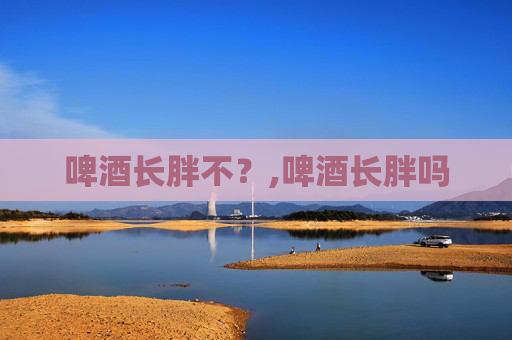 啤酒长胖不？,啤酒长胖吗