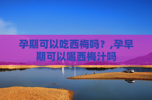 孕期可以吃西梅吗？,孕早期可以喝西梅汁吗