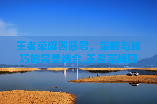 王者荣耀四暴君，策略与技巧的完美结合,王者荣耀四暴君是谁