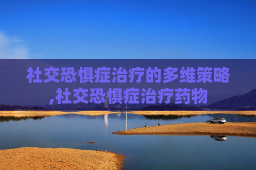 社交恐惧症治疗的多维策略,社交恐惧症治疗药物