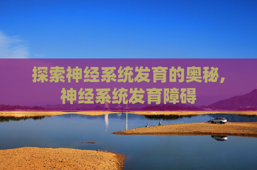 探索神经系统发育的奥秘,神经系统发育障碍