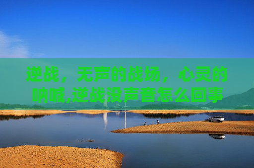 逆战，无声的战场，心灵的呐喊,逆战没声音怎么回事