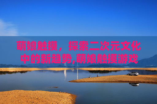 萌娘触摸，探索二次元文化中的新趋势,萌娘触摸游戏说明