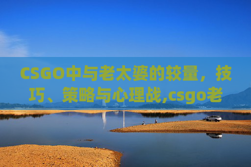 CSGO中与老太婆的较量，技巧、策略与心理战,csgo老阿姨