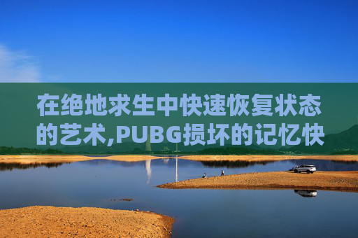在绝地求生中快速恢复状态的艺术,PUBG损坏的记忆快速恢复方法