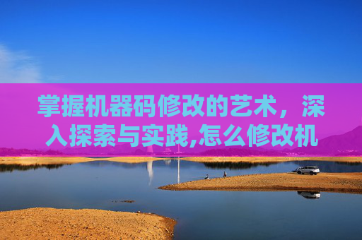 掌握机器码修改的艺术，深入探索与实践,怎么修改机器码密码