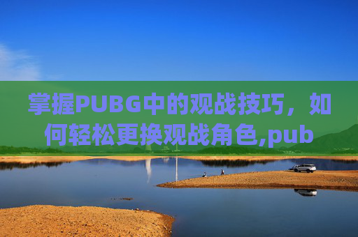 掌握PUBG中的观战技巧，如何轻松更换观战角色,pubg怎么换一个人观战