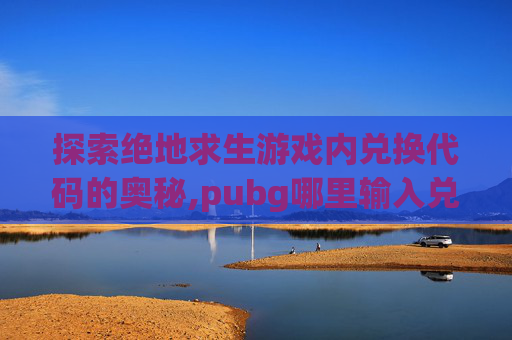 探索绝地求生游戏内兑换代码的奥秘,pubg哪里输入兑换码