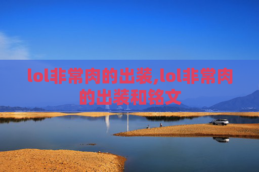 lol非常肉的出装,lol非常肉的出装和铭文