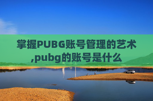 掌握PUBG账号管理的艺术,pubg的账号是什么