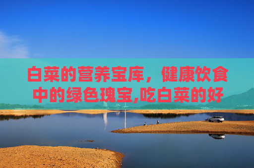 白菜的营养宝库，健康饮食中的绿色瑰宝,吃白菜的好处与功效