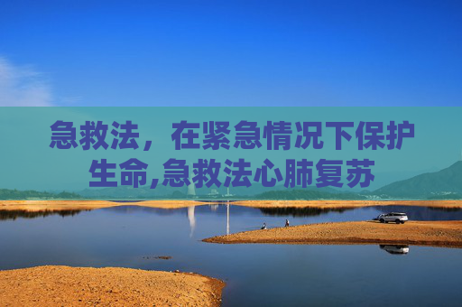 急救法，在紧急情况下保护生命,急救法心肺复苏