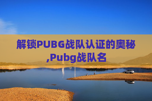 解锁PUBG战队认证的奥秘,Pubg战队名