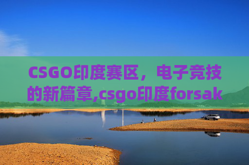 CSGO印度赛区，电子竞技的新篇章,csgo印度forsaken
