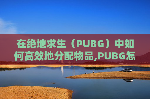 在绝地求生（PUBG）中如何高效地分配物品,PUBG怎么分物品