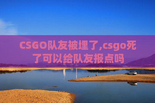 CSGO队友被埋了,csgo死了可以给队友报点吗